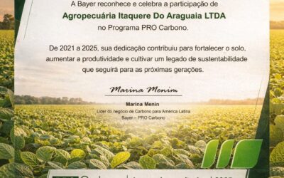 Certificado Pro Carbono